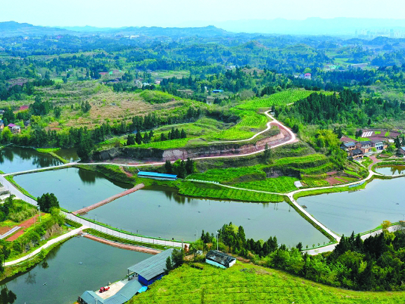 政策解讀丨2025中央一號文件中，涉及的水利內(nèi)容有哪些？